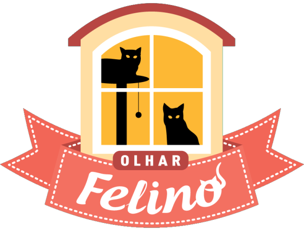 Olhar Felino