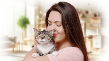 Olhar Felino