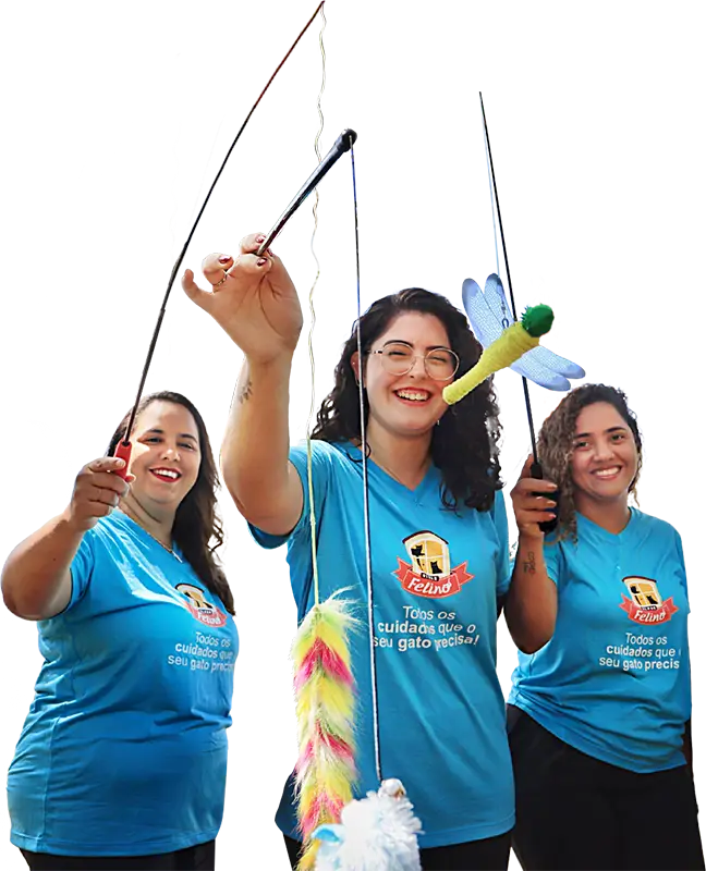 Equipe Olhar Felino